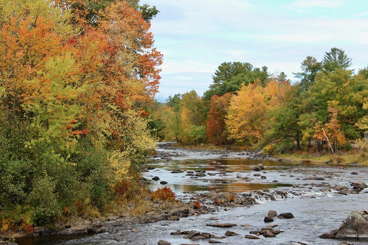 Autumn foliage along a rocky New England river